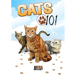 Cats 101