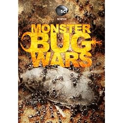 Monster Bug Wars