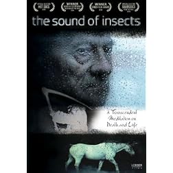The Sound of Insects