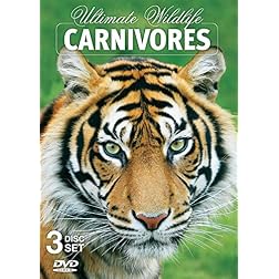 Carnivores