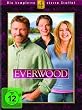 Everwood - Staffel 4 (5 DVDs)