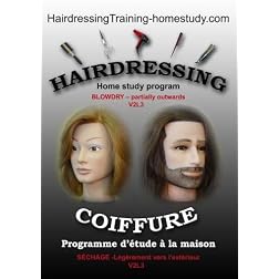V2L3 - how to blowdry hair partially outwards 