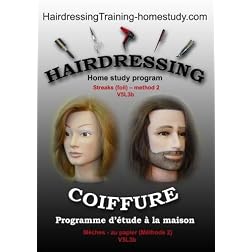 V5L3b - Streaks (foil) -method 2 -hairdressing training course