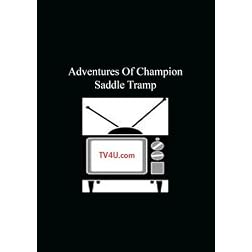 Adventures Of Champion - Saddle Tramp
