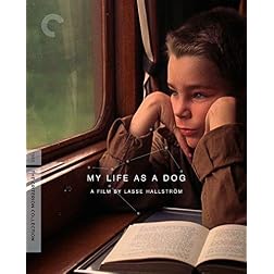 My Life as a Dog (The Criterion Collection) [Blu-ray]