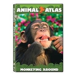 Animal Atlas: Monkeying Around