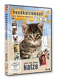 hundkatzemaus