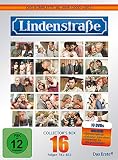 Das komplette 16. Jahr (10 DVDs)