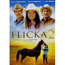 Flicka 2