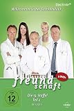 Staffel 13, Teil 2 (5 DVDs)