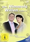 Staffel 11 (4 DVDs)