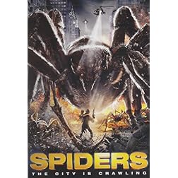Spiders