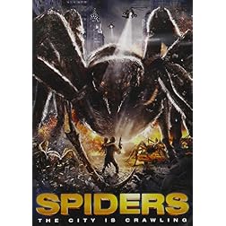 Spiders 5pk