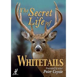 Secret Life of Whitetails, The